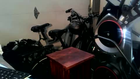 tan man for you online show from March 2026 04:24:02 PM