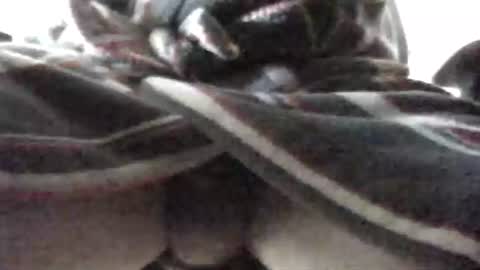 Patrick online show from February 2025 07:48:01 AM