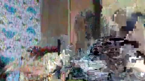 tasty_olive online show from March 2025 06:27:01 AM