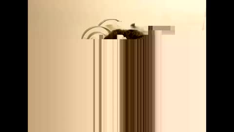 Snapshot of tastytexas24 chatting on February 2026 12:47:02 AM tastytexas24 online show from February 2026 12:47:02 AM