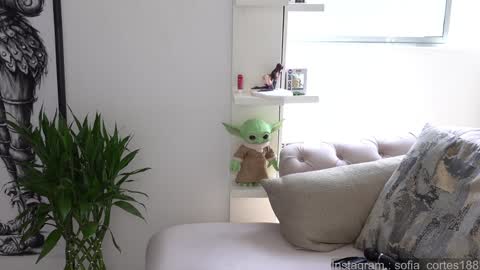 Snapshot of tatiana__cortes18 chatting on January 2025 06:32:02 PM Sofia But You can call me Sofi online show from January 2025 06:32:02 PM