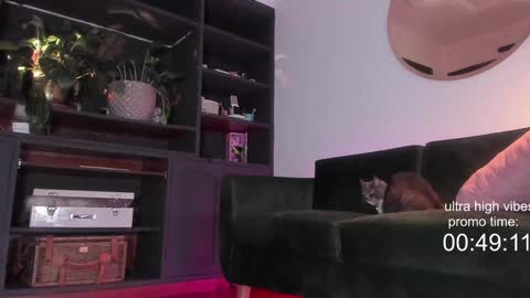 Snapshot of tattoo_ninja_kitty chatting on December 2024 10:23:01 PM Nathalie Hardy online show from December 2024 10:23:01 PM