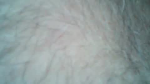 Snapshot of tattzsexy chatting on December 2025 10:28:02 PM tattzsexy online show from December 2025 10:28:02 PM