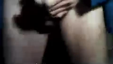 taylor3made online show from July 2026 12:29:02 AM