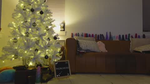 Taylor --  online show from December 2025 12:40:01 AM