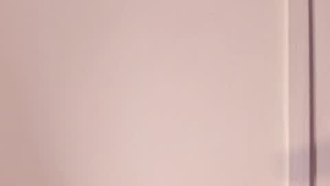 Taylor  online show from January 2025 03:40:02 PM