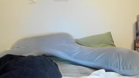 taylorcamz online show from March 2026 04:29:01 AM