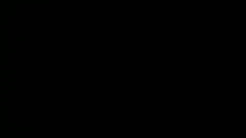 taylorsguy online show from May 2026 02:39:01 AM