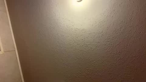 Lilbeebs online show from September 2025 02:45:01 AM