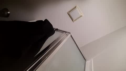 Snapshot of tboy833 chatting on January 2025 01:52:01 AM Luis online show from January 2025 01:52:01 AM