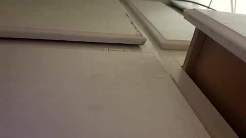 Snapshot of tboy833 chatting on October 2025 10:02:02 AM Luis online show from October 2025 10:02:02 AM