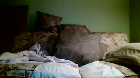 Teak online show from October 2025 12:50:01 PM