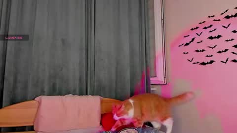 teaseme_bella online show from July 2026 07:17:01 PM