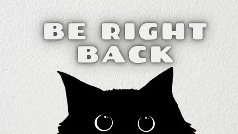 Ted online show from January 2026 07:17:01 PM