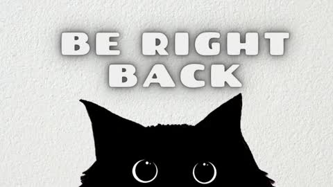Ted online show from January 2026 07:28:02 PM