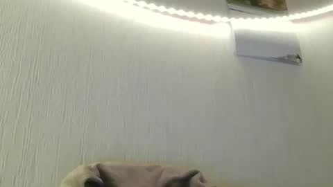 Peter online show from July 2026 08:46:01 PM