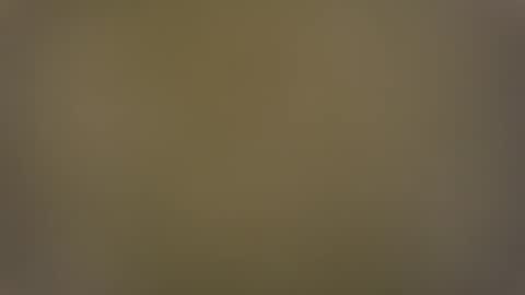 T online show from December 2024 07:55:01 AM