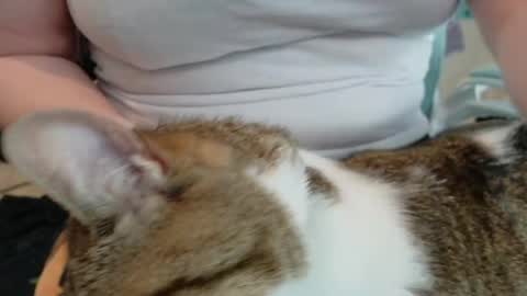 Pixie and Tentacle Overlord online show from May 2026 06:16:02 PM