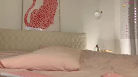 Snapshot of tenderiris chatting on September 2025 01:30:01 AM tenderiris online show from September 2025 01:30:01 AM