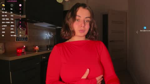 tenderwow online show from November 2025 03:34:01 PM