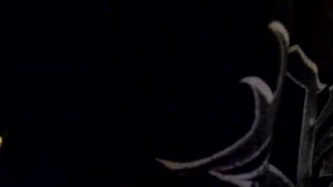 Call me Jason online show from May 2026 07:21:02 PM