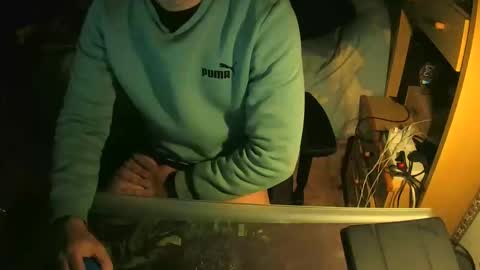 terwosdex online show from January 2026 06:57:02 PM