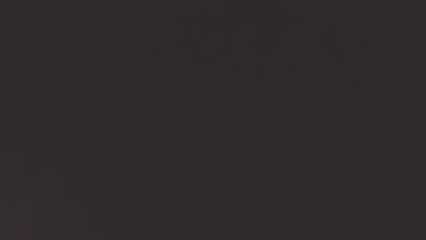 TESSA online show from January 2025 06:24:02 AM