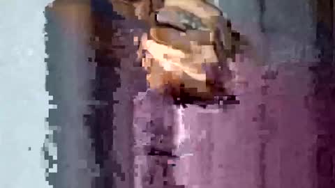 Snapshot of texasmade13 chatting on November 2025 01:55:02 AM TexasDick online show from November 2025 01:55:02 AM