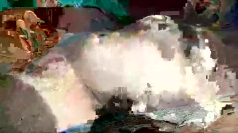 th3darksideofthemoon online show from March 2025 03:06:01 AM