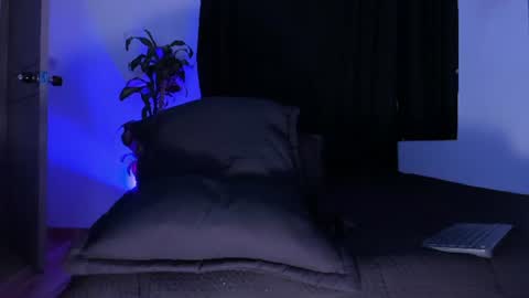 thadeo_king online show from June 2026 01:17:01 AM