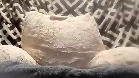 thatb1 online show from April 2026 05:46:02 AM