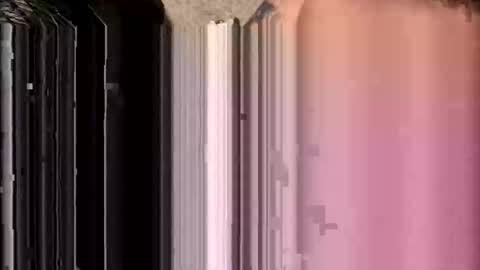 thatguy9418 online show from November 2025 08:46:02 AM