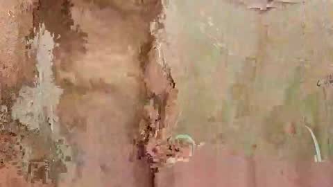 Snapshot of the1st_play_girl chatting on December 2024 06:27:02 PM the1st_play_girl online show from December 2024 06:27:02 PM