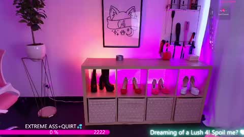 i am Cat  online show from May 2026 06:36:02 PM