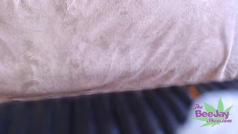 TheBeeJayShow online show from December 2024 03:43:01 PM