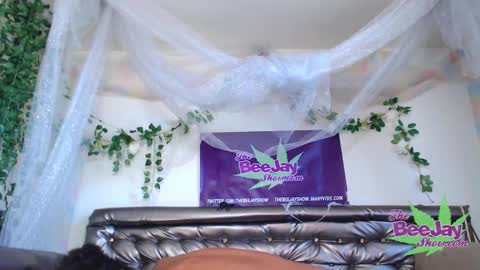 TheBeeJayShow online show from December 2024 09:57:01 PM