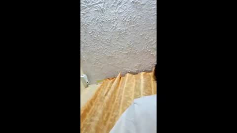 thebluesky_18 online show from May 2026 11:43:02 PM