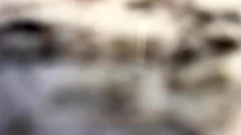 thebodythefeet online show from January 2025 07:23:02 PM