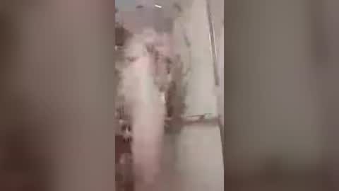 thedailyshower online show from July 2026 03:25:02 AM