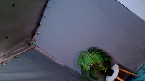 Lana But you can spell it backwards online show from December 2024 12:20:02 AM