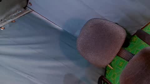 Lana But you can spell it backwards online show from January 2025 09:18:01 PM