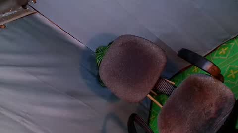 Lana But you can spell it backwards online show from February 2025 03:23:02 AM