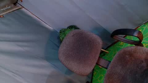 Lana But you can spell it backwards online show from February 2025 11:09:02 AM