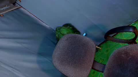 Lana But you can spell it backwards online show from February 2025 02:18:01 AM