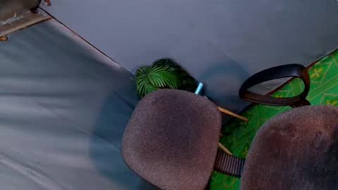 Lana But you can spell it backwards online show from February 2025 02:03:02 AM