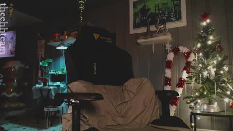 Snapshot of theehhteam chatting on December 2024 08:17:02 PM H online show from December 2024 08:17:02 PM