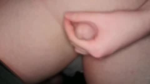 The Fox  The Cat online show from February 2025 01:33:01 PM