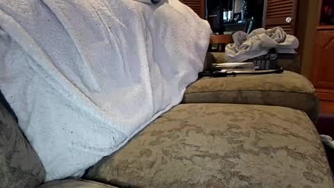 Snapshot of theicecreamguru chatting on October 2025 07:55:02 PM theicecreamguru online show from October 2025 07:55:02 PM