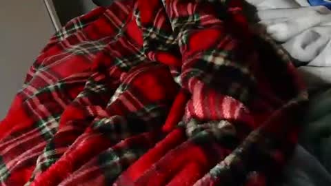 Snapshot of thejerk1974 chatting on March 2026 08:35:02 PM Liam online show from March 2026 08:35:02 PM