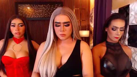 Paula online show from July 2026 10:54:02 AM